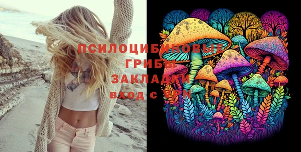 спиды Арсеньев
