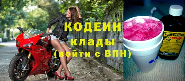 хмурый Новозыбков