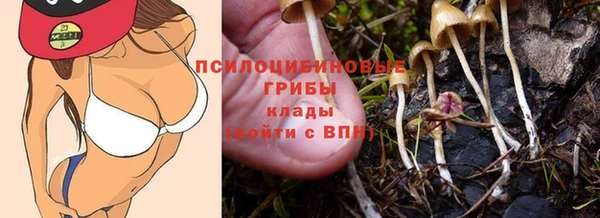 apvp Новокубанск