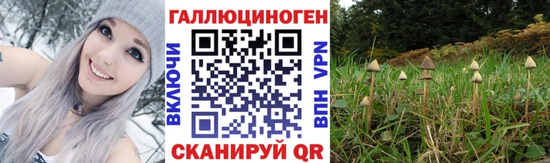 shop формула  наркошоп  blacksprut зеркало  Сосновый Бор  Псилоцибиновые грибы GOLDEN TEACHER 